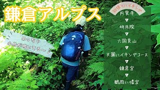 【Vlog.6月の鎌倉アルプス】緑と小鳥の囀りがめちゃくちゃ気持ちいい森林浴ᨒ𖡼.𖤣𖥧六国見山→天園ハイキングコース