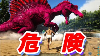 【ARK】#2 恐竜島でサバイバル生活。プテラノドンをテイムして大空へ飛び立ちたい(LV上げ）