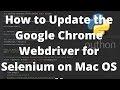 How to Update the Google Chrome Webdriver for Selenium on Mac OS X