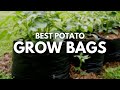 Best Potato Grow Bags With Side Opening | Grow Potatoes In The Best Way