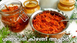 ശതാവരി കിഴങ്ങ് അച്ചാർ |  Shathaavari Kizhangu Achar | Asparagus Root Pickle | ശതാവരി അച്ചാർ