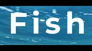 Sid Dobrin: Keywords in Blue Humanities - Fish