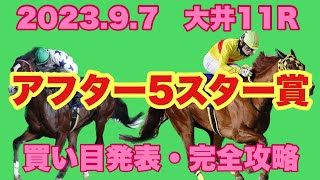 【競馬】2023 S3 大井 アフター5スター賞 解説と買い目発表！