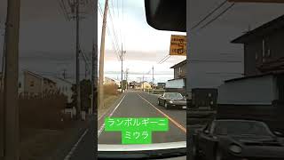 ランボルギーニミウラに遭遇！カッコいい！！