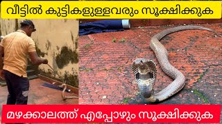 മഴക്കാലമാണ് സൂക്ഷിക്കുക @mindvisionktr