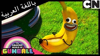 تائه فى الغابة | غامبول | كرتون نتورك