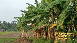 ID 619: 1 Acre Farmland For sale near Chennai ECR! Koovathur East Face/Thaar Road! Mr Ashi9865282717