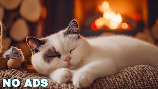 Relaxing music for cats 🐈 Anxiety relief music for cats 🐈 Soothe your cat with our piano music