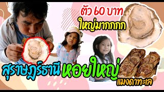 NaNoTV EP75 ตะลุยถิ่นหอยใหญ่ ปากกะแดะ อ.กาญจนดิษฐ์ จ.สุราษฎร์ธานี มาแล้วต้องกิน 2023