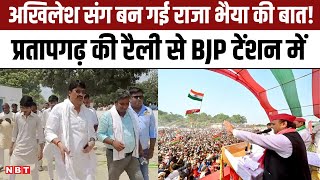 Akhilesh Yadav Pratapgarh Rally में शामिल हो सकते हैं Raja Bhaiya?, BJP की Tension High | NBT