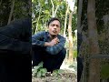 ঘর জামাই এর কোন শান্তি নাই shortsfeed tendingshorts comedy funnycomedy funny funnyshorts