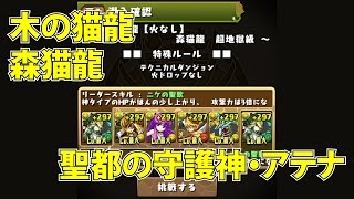 パズドラ「木の猫龍 森猫龍 超地獄級」聖都の守護神・アテナ 9倍PT ノーコン攻略