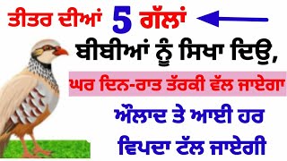 ਤਿੱਤਰ ਦੀਆਂ 5 ਪੰਜ ਗੱਲਾਂ ਬੀਬੀਆਂ ਨੂੰ ਸਿਖਾ ਦਿਓ ਘਰ ਤਰੱਕੀ ਵਲ ਤੁਰ ਪੲੇਗਾ #kathavichar