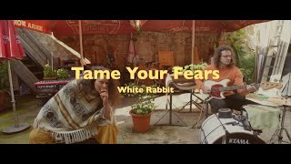 Tame Your Fears - White Rabbit