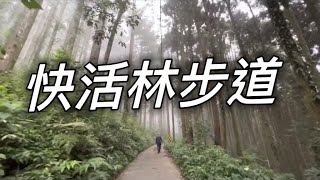 溪頭快活林林道+志騰山