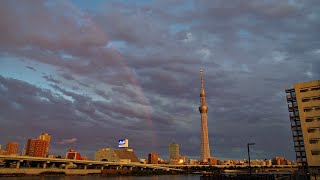 夕焼け　虹　　2021年7月11日(日)　　隅田川テラス　東京スカイツリー　夕焼け