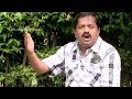 சிவப்பு கொய்யாவின் வியக்க வைக்கும் நன்மைகள் dr.sivaraman speech on red guava health benefits