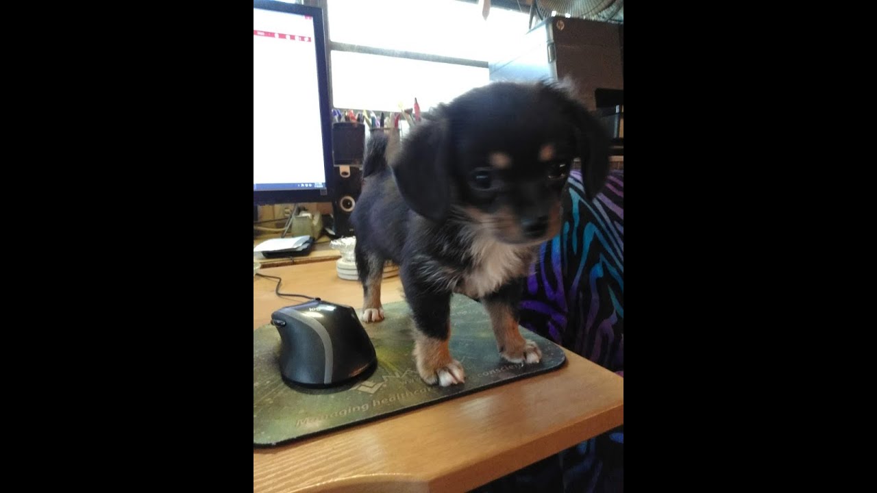 Quilted Card Youtube