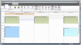 WinForms Scheduler: Providing a Ribbon UI