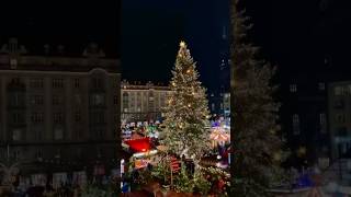 Dresden’s Striezelmarkt, the oldest Christmas market in Germany! 🎄#Dresden #Christmas #deutschland