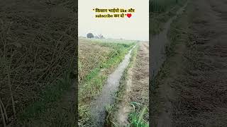 Kisani..♥️😭 #mehnat #kisan status #farmer's life #kheti badi #kisan k khet