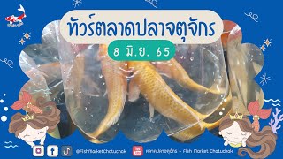 ทัวร์ตลาดปลาจตุจักร วันพุธ ที่ 8 มิ.ย. 65