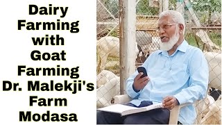 Dairy Farming with Goat Farming | Dr.Malekji's Farm | Chand Tekri | Modasa | Gujarat