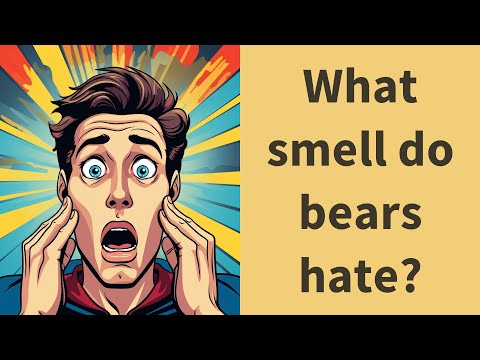 What smell do bears hate?