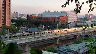 Taiwan Railway New Trains EMU900 \u0026 EMU3000 Met at Da-Qing in the Sunset 2022.09.15