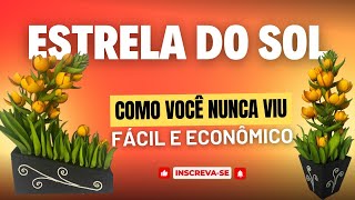 Flor Estrela do Sol: Um Passo a Passo Descomplicado para Você.