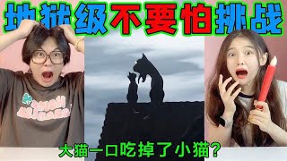 地狱级不要怕挑战！大猫张开嘴巴“吃掉”小猫，怪物为啥浑身通红