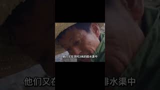 湖北挖出秦代墓，出土千枚秦簡與秦始皇有關，這才是真實的秦始皇 #紀中百事 #古董 #開棺 #古墓 #考古發現