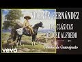 Vicente Fernández - Camino de Guanajuato - Cover Audio