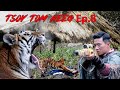 TSOV TOM NEEG Ep.8 | Tsov Tom Xab Nyob Pham Loom