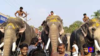 എത്ര ആനകൾക്ക് നടുവിൽ നിന്നാലും ആരൊക്ക തല പൊക്കി പിടിച്ചാലും ശിവരാജു വന്നാൽ പിന്നെ 🔥🔥🔥🔥#viral