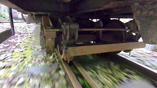 【Alishan Forest Railway】Undercarriage View (from Sacred Tree to 1st Switch)