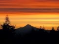 Amazing Mt Hood Photos by Donald E Brown