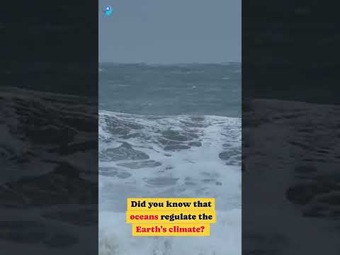 How the Ocean Controls Earth's Climate