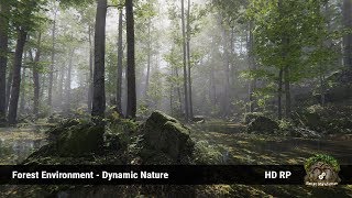Forest Environment - Dynamic Nature