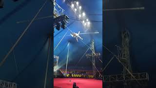 Circus Performer Fails