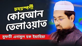 হৃদয়স্পর্শী কোরআন তেলাওয়াত, মুফতী এনামুল হক ইয়াহিয়া, mufti anamul ho iyahiya