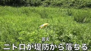 【おもちゃ】東海オンエアに遊ばれるニトロ爆弾集