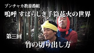 手筒花火の作り方 遠州新居『嗚呼 すばらしき手筒花火の世界』ブンチャカ教養番組 第三回「竹の切り出し方」ただ切るだけじゃない！The Making of Tezutsu Fireworks