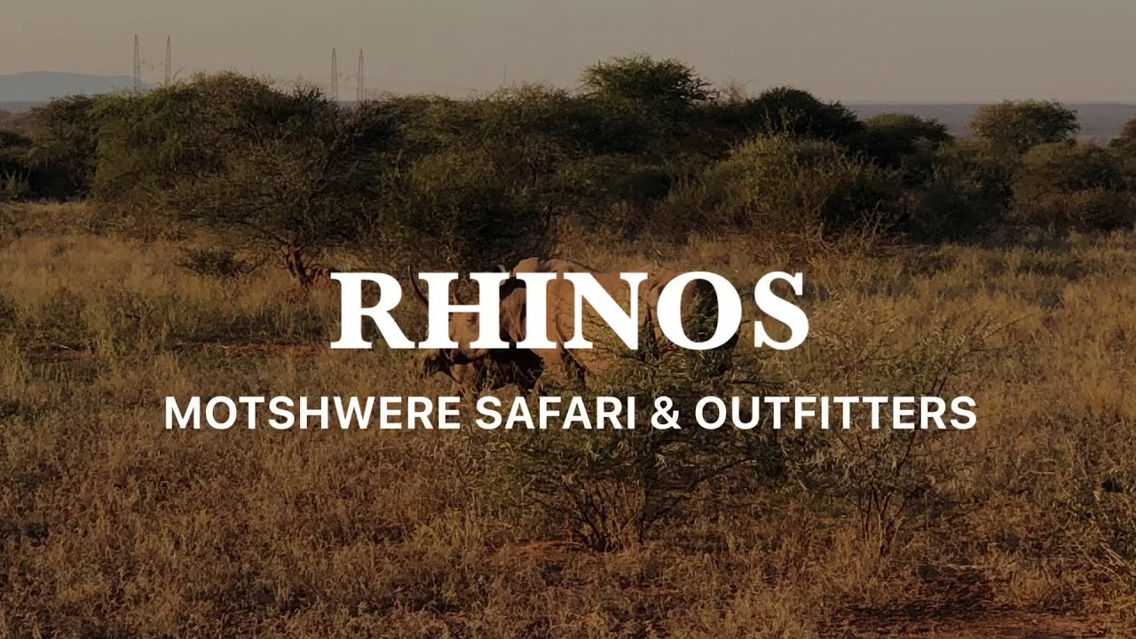 Rhinoland Safaris Youtube