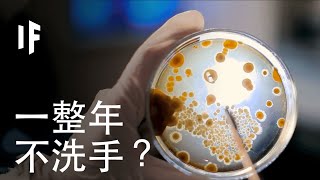 如果你一整年不洗手？| 大膽科學