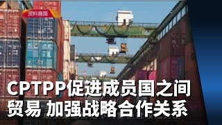 颜金勇：CPTPP促进成员国之间贸易 加强战略合作关系