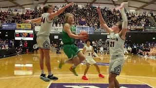 2022 6A OSAA Boys Basketball State Championship Highlights - Summit vs Tualatin