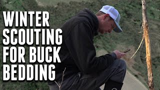 Winter Scouting For BUCK BEDDING | Nebraska Public Land Hunting