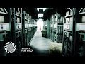 Ritmo - Practical