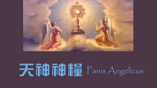 蘇神父【天神神糧】Panis Angelicus